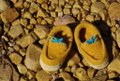Gold and Teal