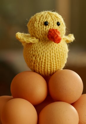 CHICK EASTER FREE KNITTING PATTERN Patterns For You