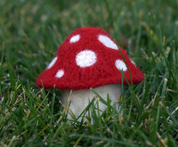 Small Rounded Cap with Large Bell-Shaped Cap for stem