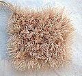 Mink Swatch